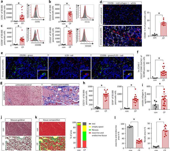 CD271 (NGF Receptor) Antibody in Flow Cytometry (Flow)