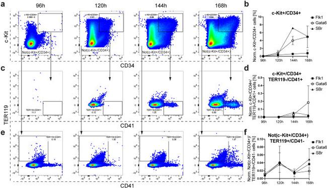 CD117 (c-Kit) Antibody in Flow Cytometry (Flow)