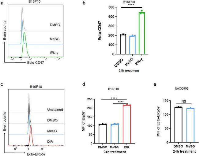 CD47 Antibody in Flow Cytometry (Flow)