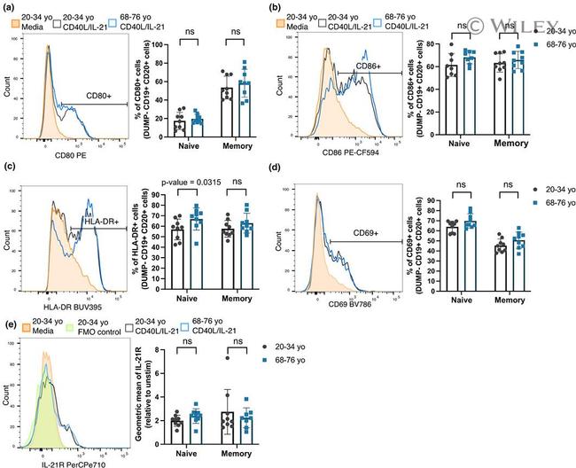 CD80 (B7-1) Antibody in Flow Cytometry (Flow)