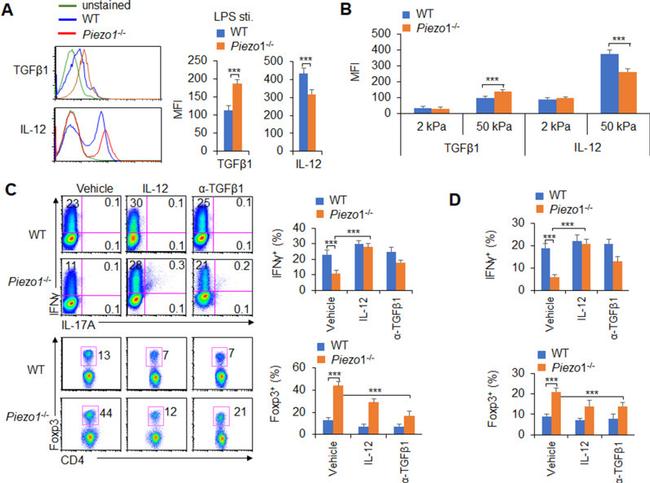 LAP (Latency Associated peptide) Antibody in Flow Cytometry (Flow)