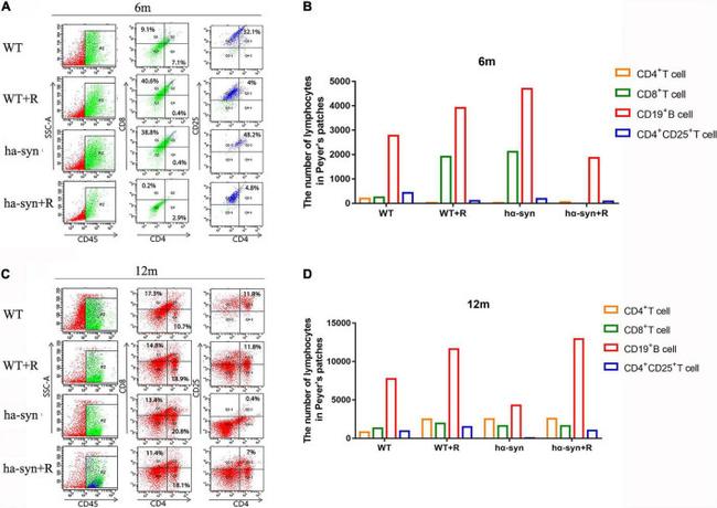 CD25 Antibody in Flow Cytometry (Flow)