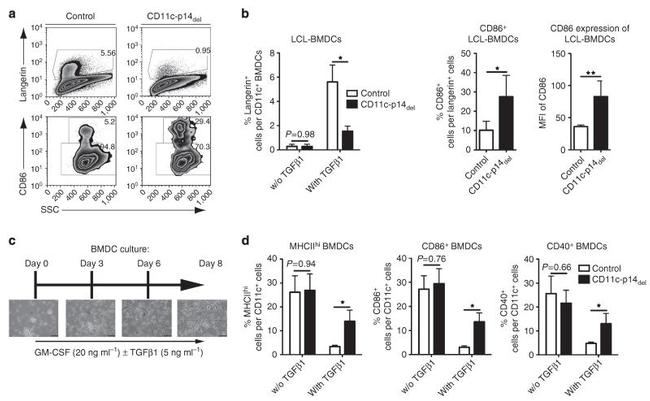 CD11c Antibody in Flow Cytometry (Flow)