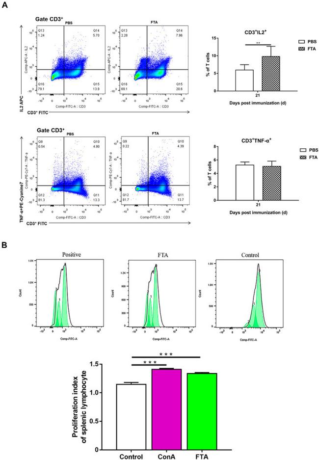 IL-2 Antibody in Flow Cytometry (Flow)