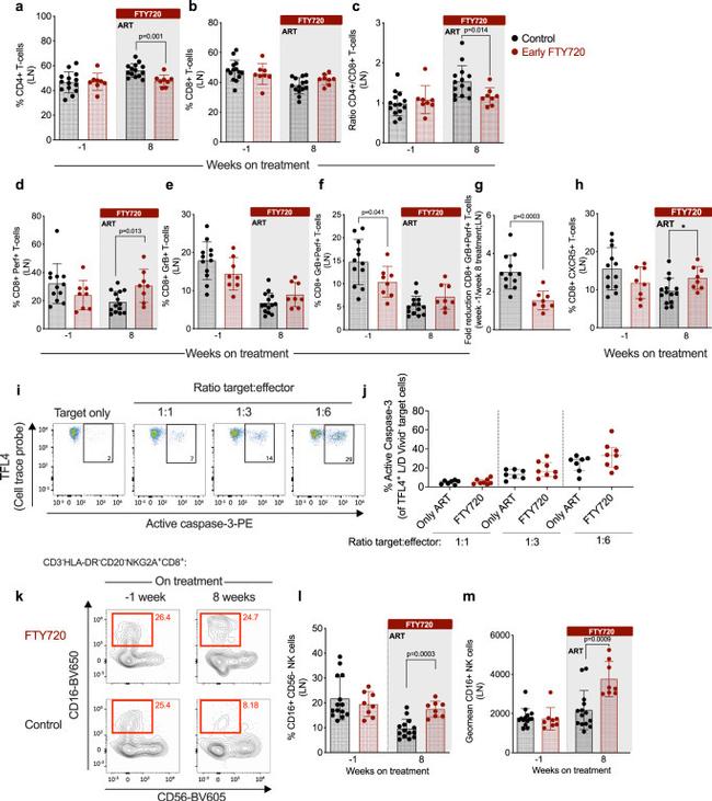 Granzyme B Antibody in Flow Cytometry (Flow)