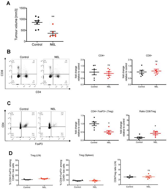 FOXP3 Antibody in Flow Cytometry (Flow)