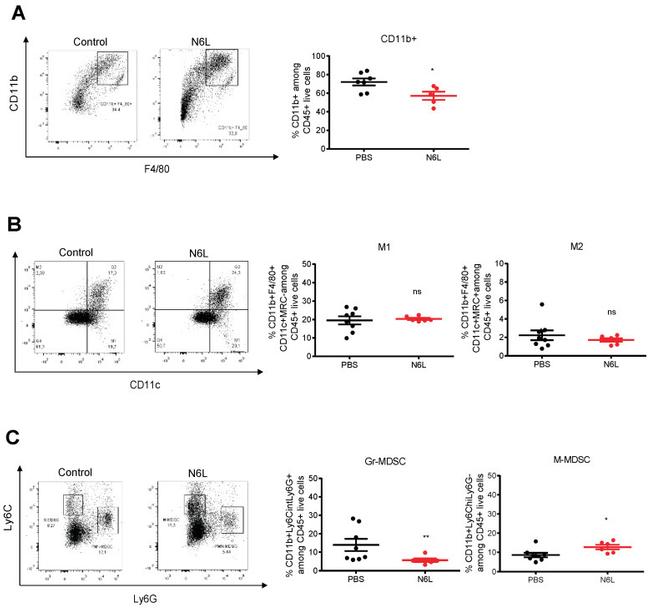 CD11c Antibody in Flow Cytometry (Flow)