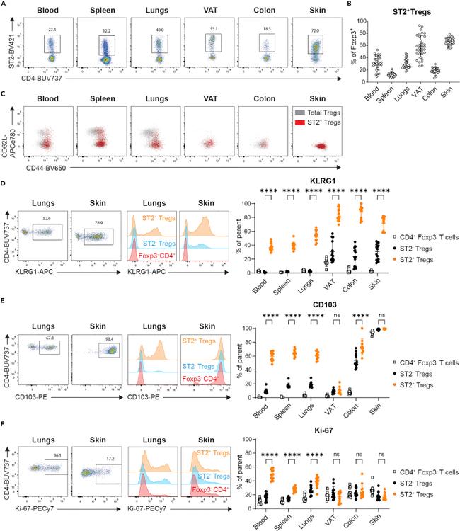 CD103 (Integrin alpha E) Antibody in Flow Cytometry (Flow)