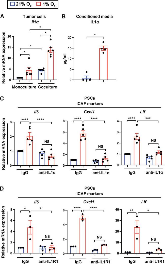 IL1R1 Antibody in Neutralization (Neu)