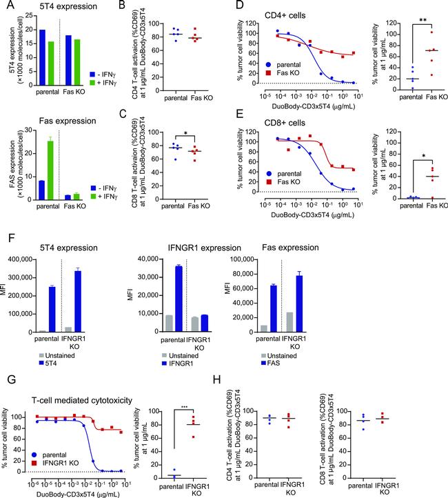 CD119 (IFN gamma Receptor 1) Antibody in Flow Cytometry (Flow)