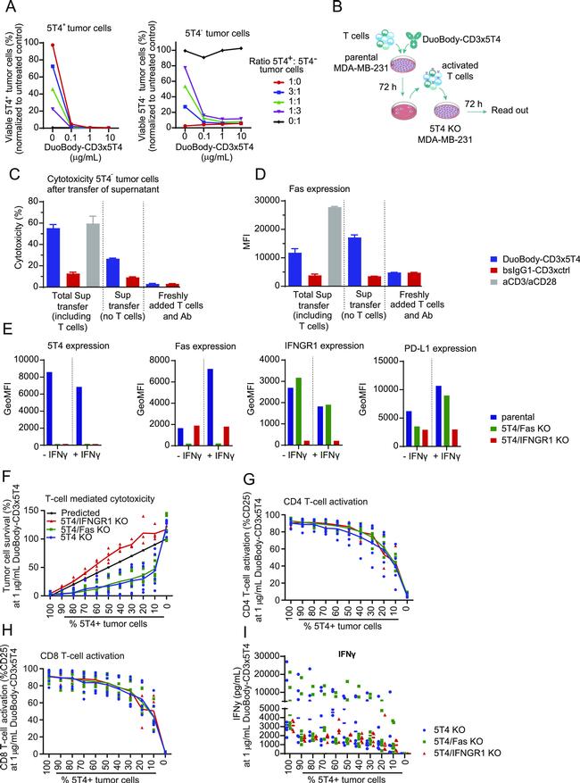 CD119 (IFN gamma Receptor 1) Antibody in Flow Cytometry (Flow)