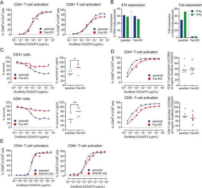 FAS Antibody in Flow Cytometry (Flow)