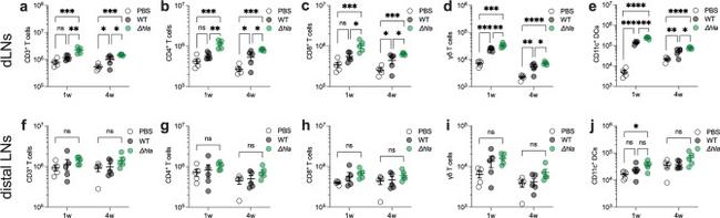 CD11c Antibody in Flow Cytometry (Flow)