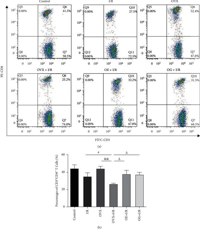 CD3 Antibody in Flow Cytometry (Flow)