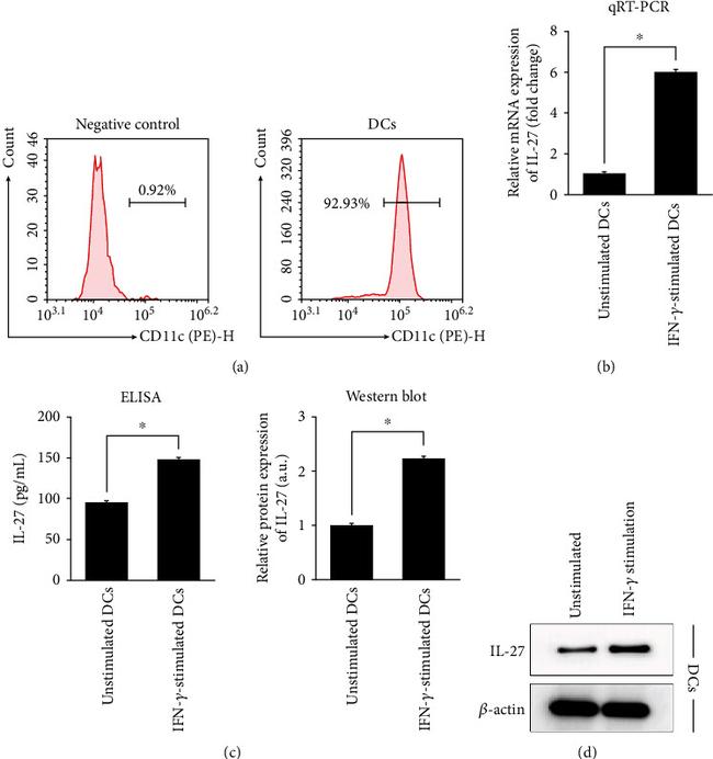 CD11c Antibody in Flow Cytometry (Flow)