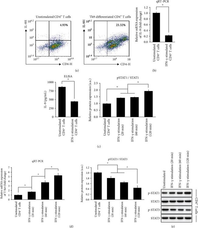 CD4 Antibody in Flow Cytometry (Flow)