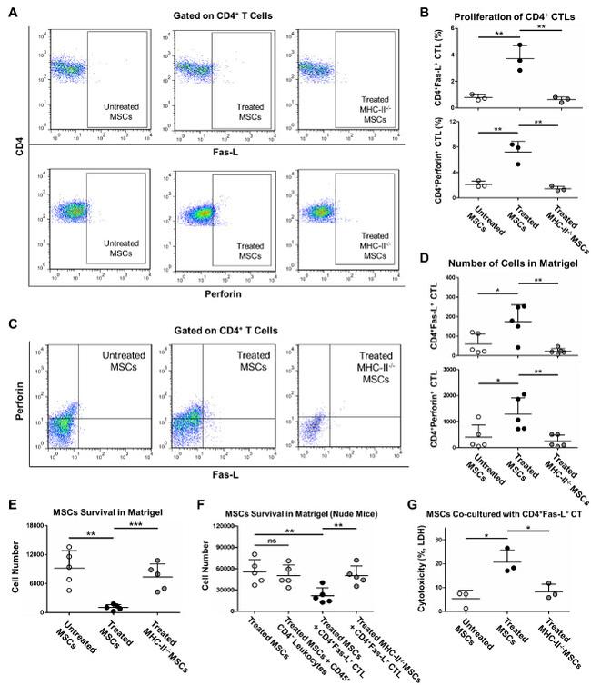 Perforin Antibody in Flow Cytometry (Flow)