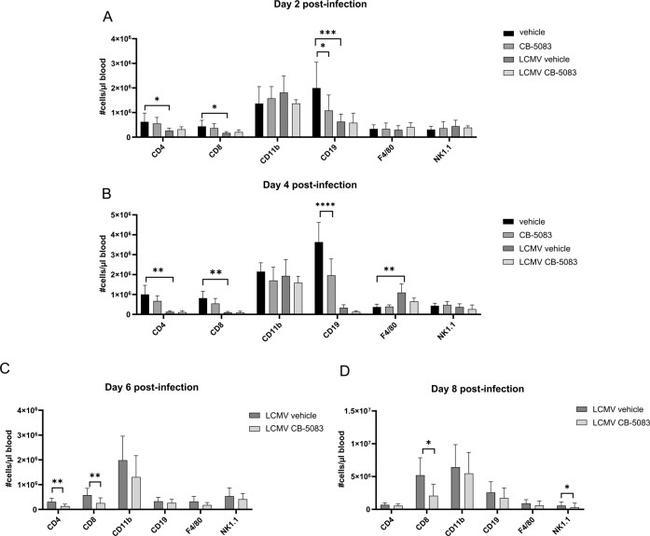 NK1.1 Antibody in Flow Cytometry (Flow)