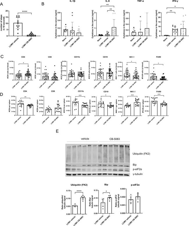 CD4 Antibody in Flow Cytometry (Flow)