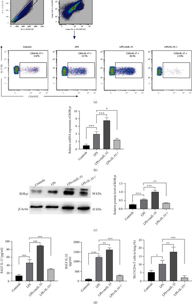 CD4 Antibody in Flow Cytometry (Flow)