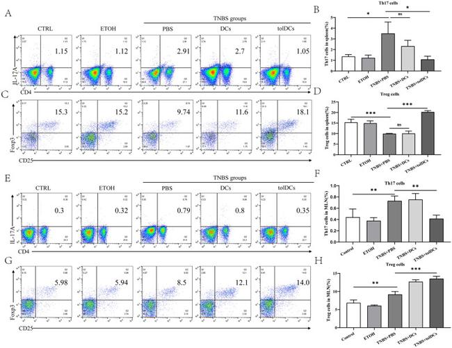 CD4 Antibody in Flow Cytometry (Flow)