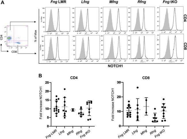 CD4 Antibody in Flow Cytometry (Flow)