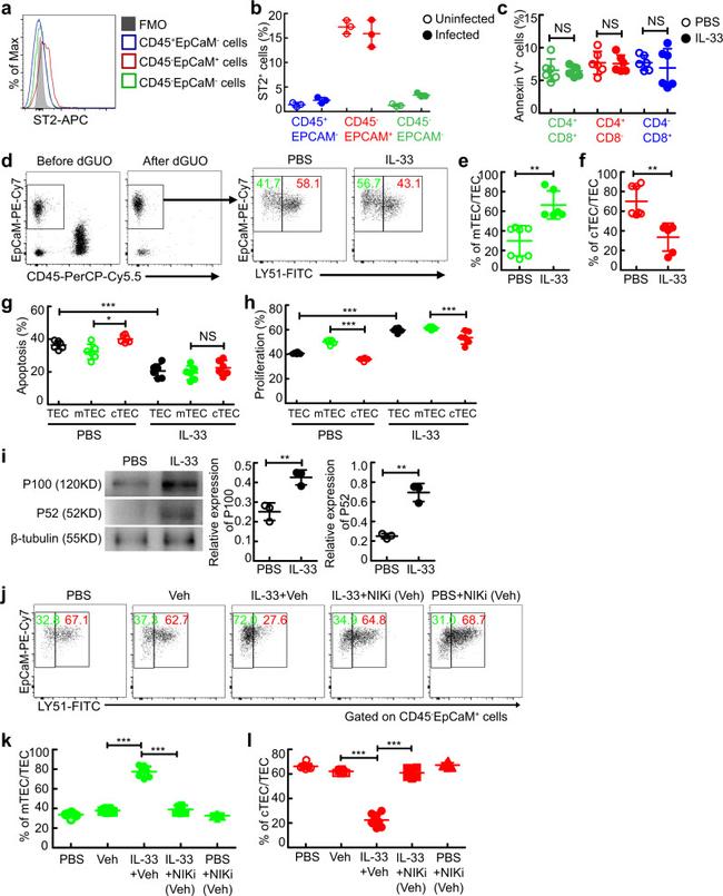 CD326 (EpCAM) Antibody in Flow Cytometry (Flow)