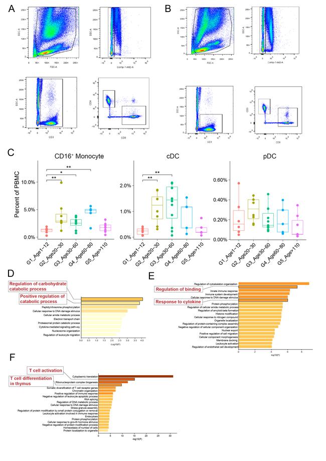 CD4 Antibody in Flow Cytometry (Flow)