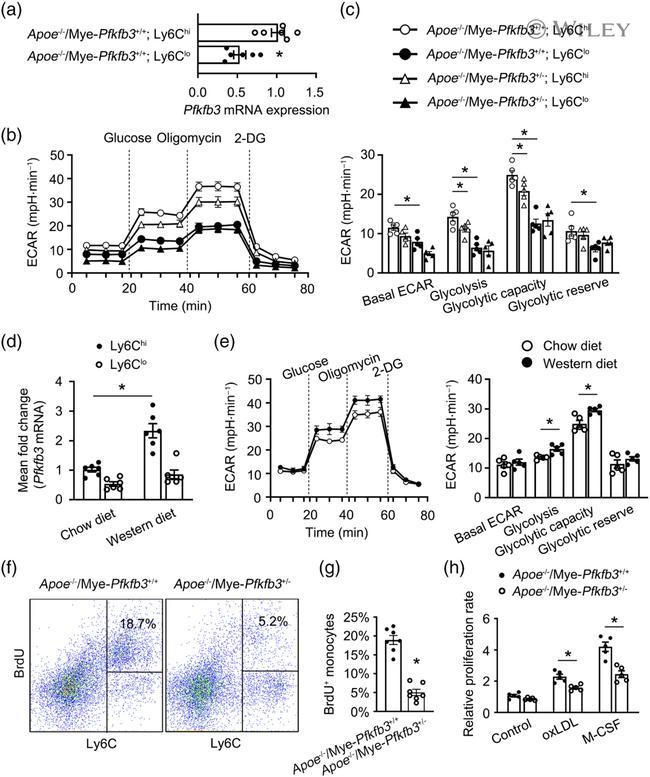 Ly-6C Antibody in Flow Cytometry (Flow)