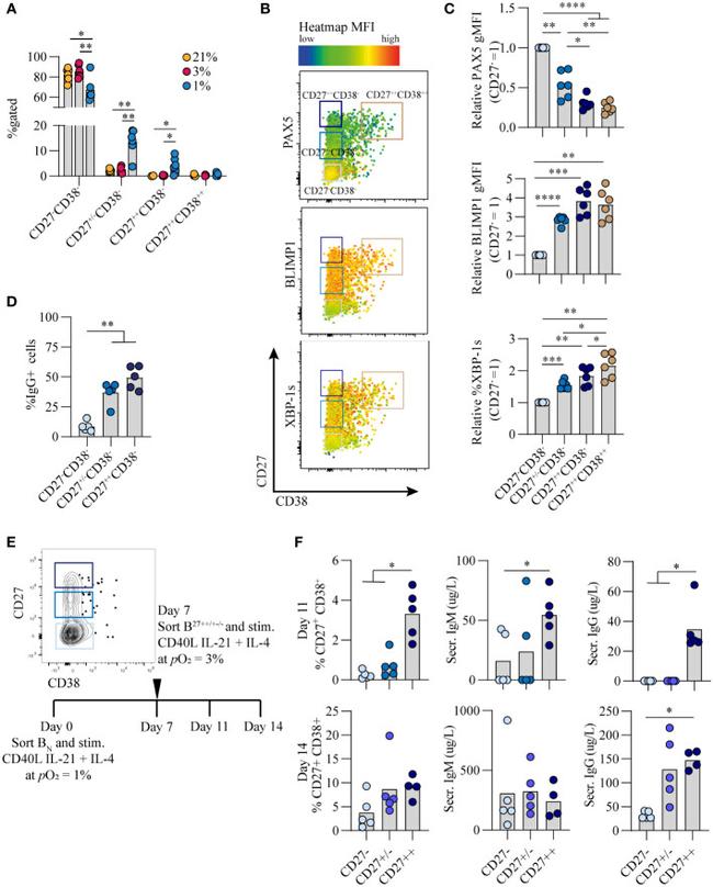 CD27 Antibody in Flow Cytometry (Flow)