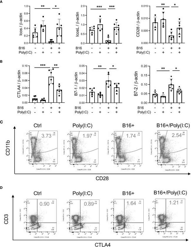 CD28 Antibody in Flow Cytometry (Flow)