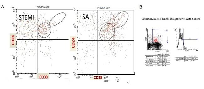 CD38 Antibody in Flow Cytometry (Flow)