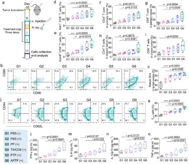 CD44 Antibody in Flow Cytometry (Flow)