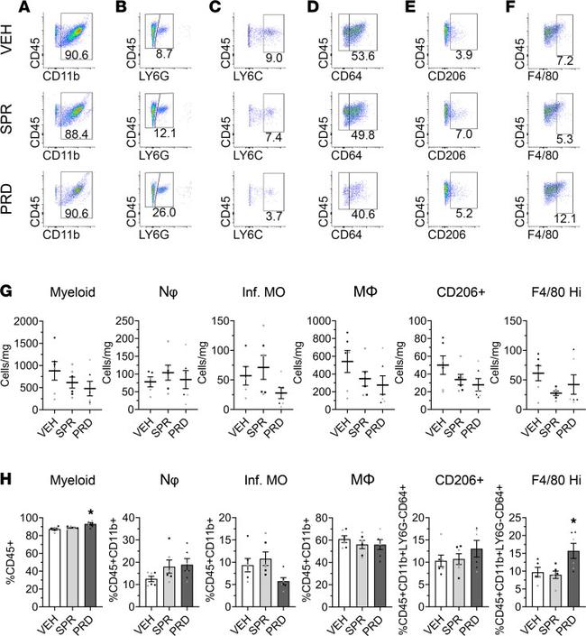 CD45 Antibody in Flow Cytometry (Flow)