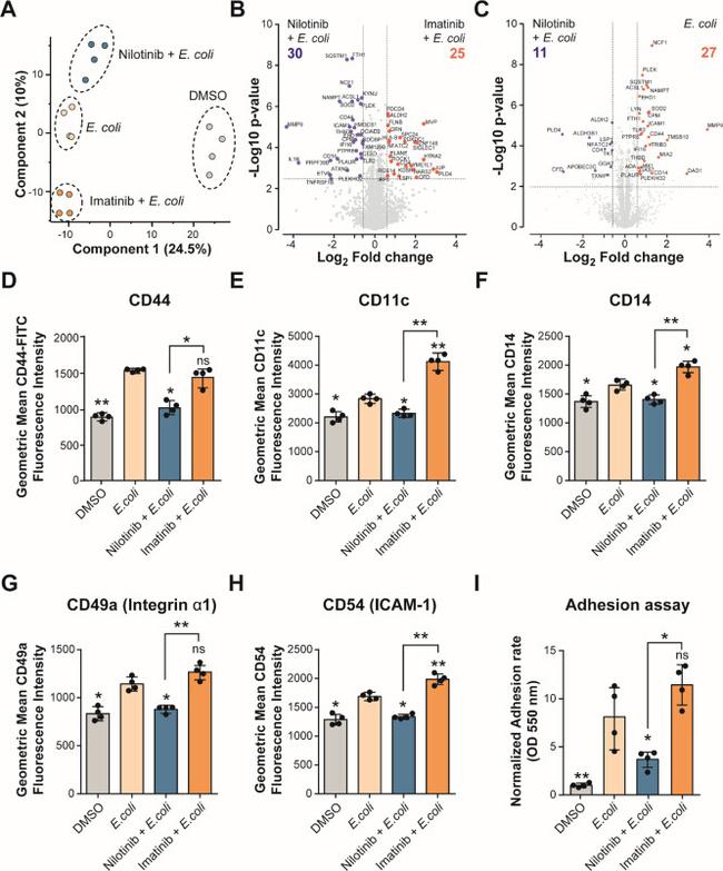 CD14 Antibody in Flow Cytometry (Flow)