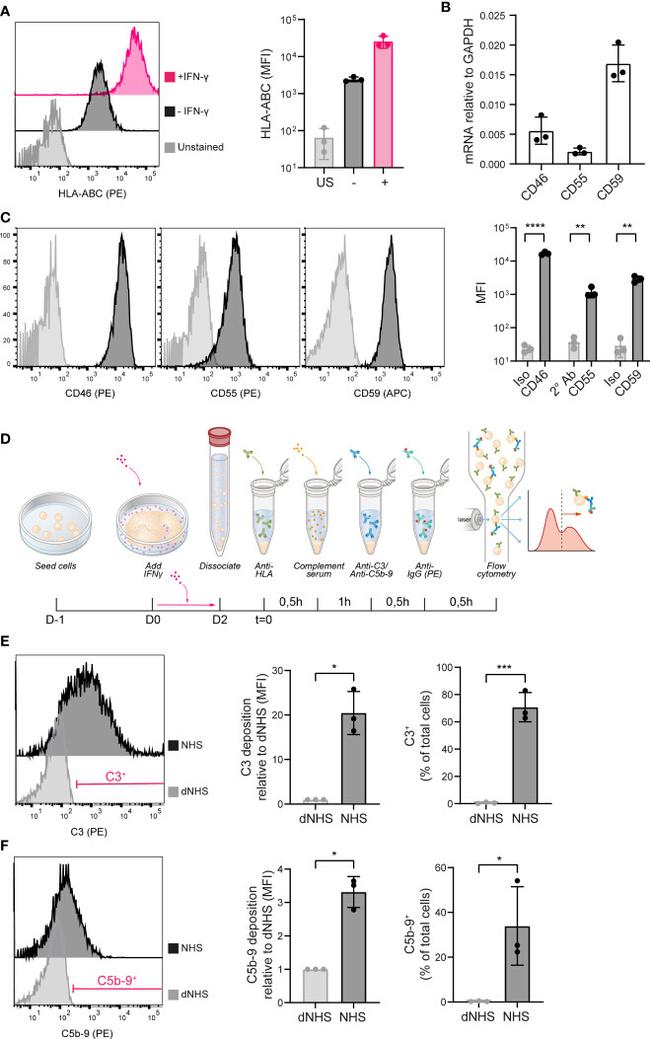 CD59 (Protectin) Antibody in Flow Cytometry (Flow)