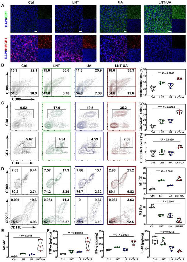 CD80 (B7-1) Antibody in Flow Cytometry (Flow)