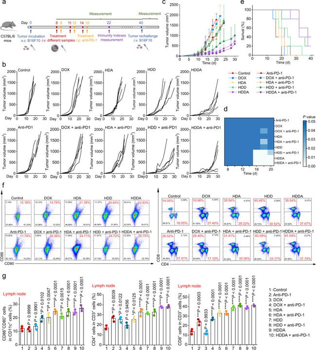 CD80 (B7-1) Antibody in Flow Cytometry (Flow)