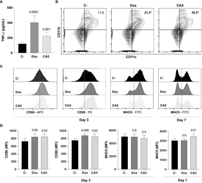 CD86 (B7-2) Antibody in Flow Cytometry (Flow)