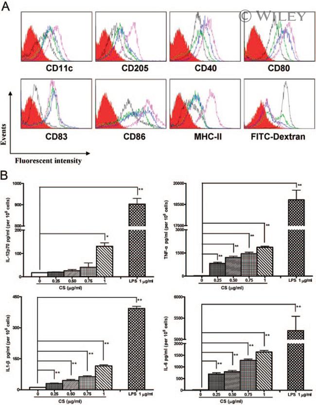 CD205 Antibody in Flow Cytometry (Flow)