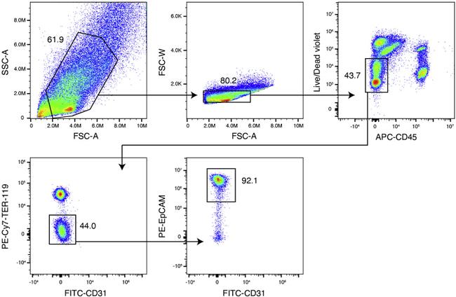 CD326 (EpCAM) Antibody in Flow Cytometry (Flow)