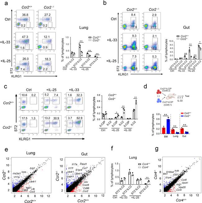 IL-33R (ST2) Antibody in Flow Cytometry (Flow)