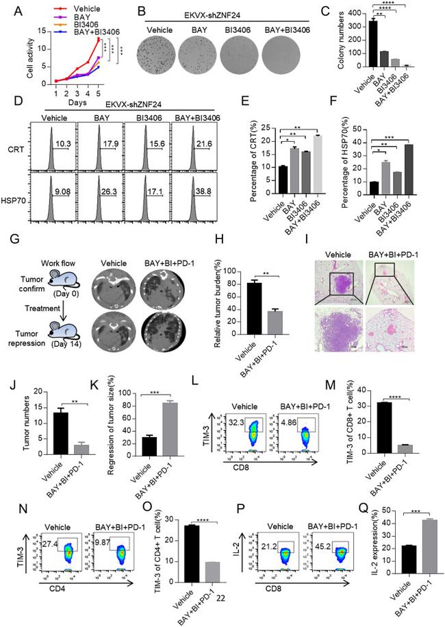 IL-2 Antibody in Flow Cytometry (Flow)