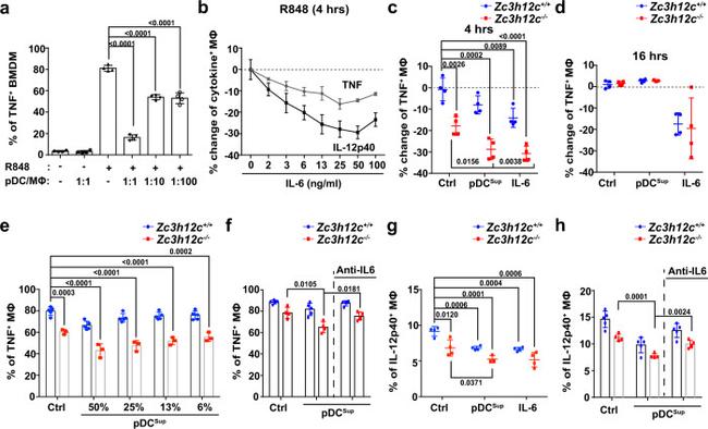 TNF alpha Antibody in Flow Cytometry (Flow)