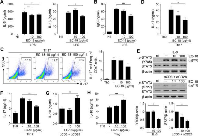 IL-17A Antibody in Flow Cytometry (Flow)