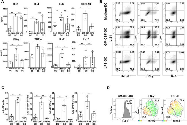 IFN gamma Antibody in Flow Cytometry (Flow)