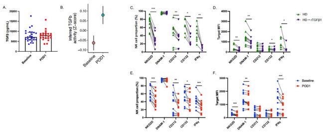 IFN gamma Antibody in Flow Cytometry (Flow)