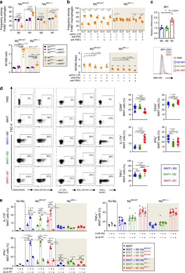 TNF alpha Antibody in Flow Cytometry (Flow)