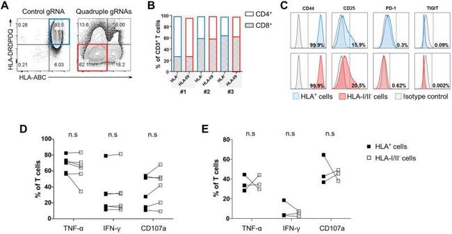 TNF alpha Antibody in Flow Cytometry (Flow)