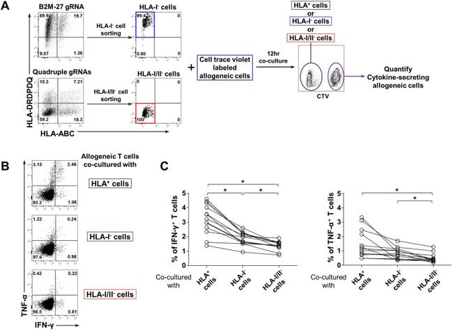 TNF alpha Antibody in Flow Cytometry (Flow)